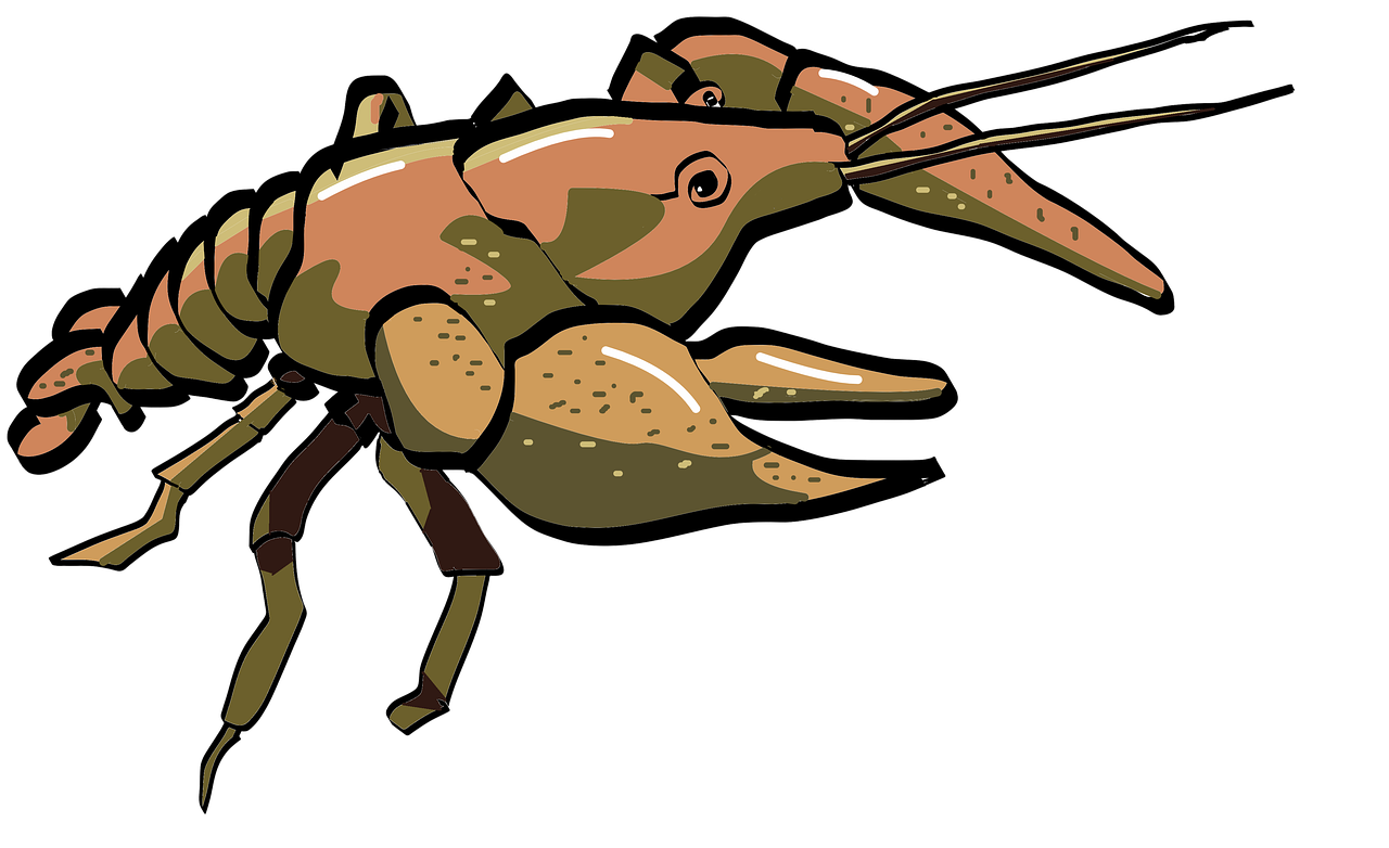 Lobster Tales: Offshore Wind Farms Leave Lobsters With Deformed ...